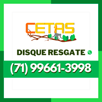 CETAS
